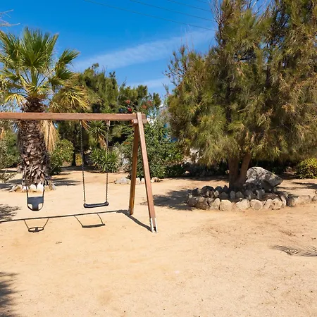 Sunrock - Begonia 3*