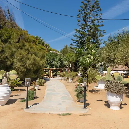 Sunrock - Begonia Naxos City