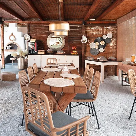 Sunrock - Begonia 3*