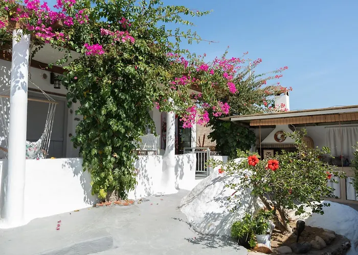 Sunrock - Begonia 3* Naxos City