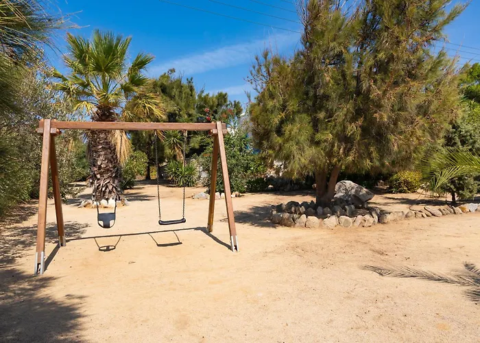 Sunrock - Begonia 3*