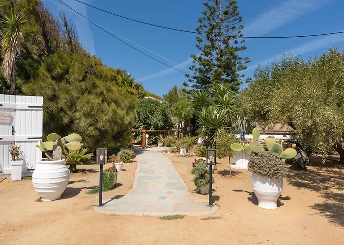 Sunrock - Begonia Naxos City