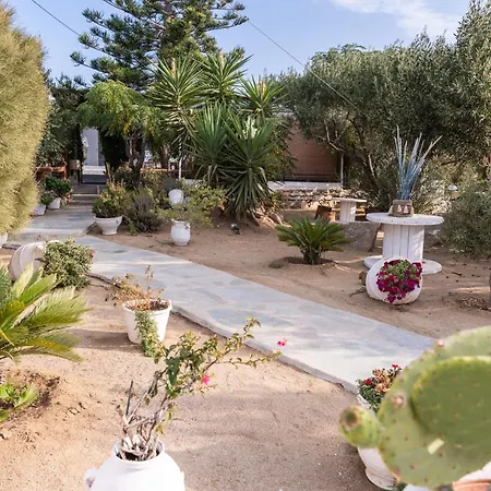 Sunrock - Begonia 3* Naxos City