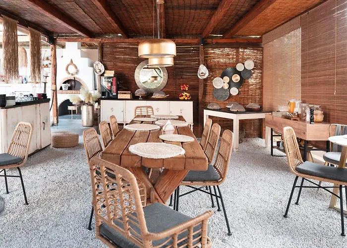 Sunrock - Begonia 3*